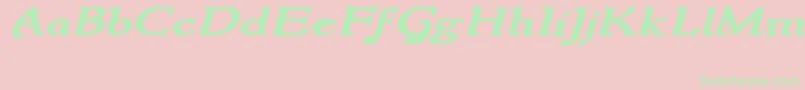 NewstylewideBoldItalic Font – Green Fonts on Pink Background