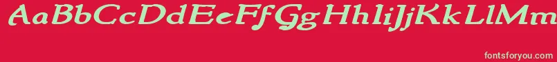 NewstylewideBoldItalic Font – Green Fonts on Red Background