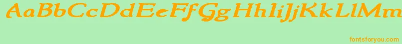 NewstylewideBoldItalic Font – Orange Fonts on Green Background