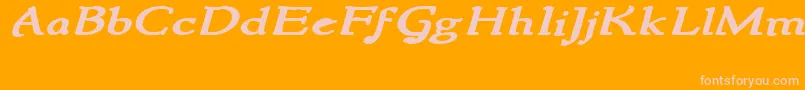 NewstylewideBoldItalic Font – Pink Fonts on Orange Background