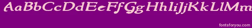 NewstylewideBoldItalic Font – Pink Fonts on Purple Background