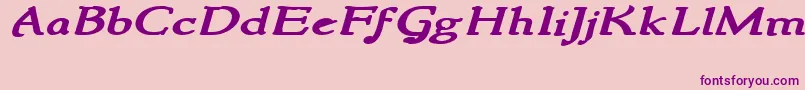 NewstylewideBoldItalic Font – Purple Fonts on Pink Background