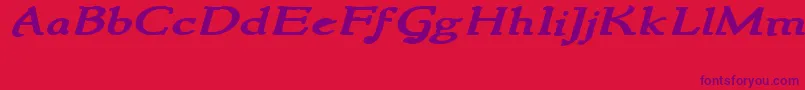 NewstylewideBoldItalic Font – Purple Fonts on Red Background