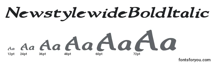 Размеры шрифта NewstylewideBoldItalic