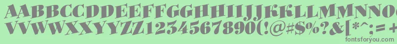 ABodoniortotitulspupBlack Font – Gray Fonts on Green Background