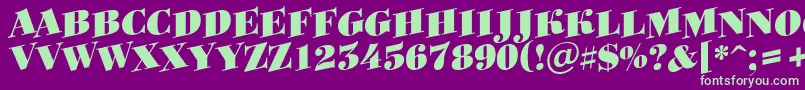 ABodoniortotitulspupBlack Font – Green Fonts on Purple Background
