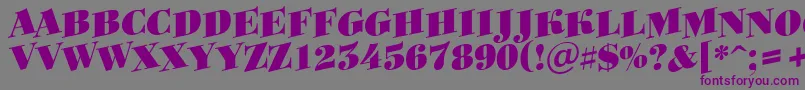 ABodoniortotitulspupBlack Font – Purple Fonts on Gray Background