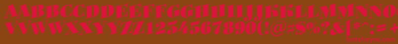 ABodoniortotitulspupBlack Font – Red Fonts on Brown Background