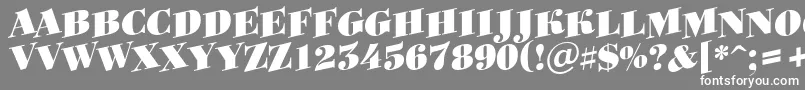 ABodoniortotitulspupBlack-Schriftart – Weiße Schriften auf grauem Hintergrund