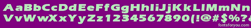 ErgoemildblackexpandedRegular Font – Green Fonts on Purple Background