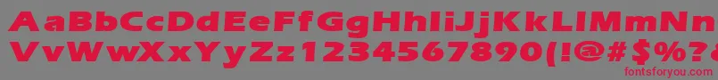 ErgoemildblackexpandedRegular Font – Red Fonts on Gray Background