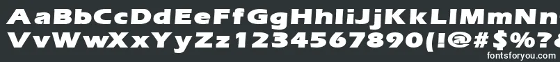 ErgoemildblackexpandedRegular Font – White Fonts