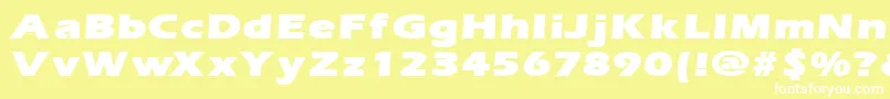 ErgoemildblackexpandedRegular Font – White Fonts on Yellow Background