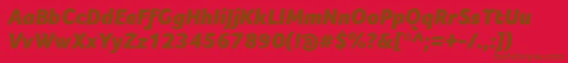 FocoBlackItalic Font – Brown Fonts on Red Background