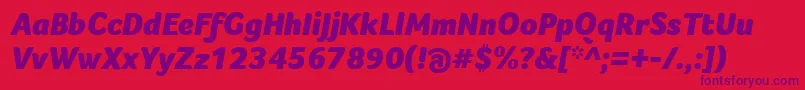 FocoBlackItalic Font – Purple Fonts on Red Background