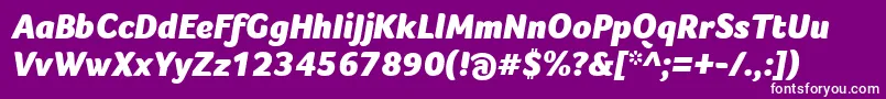 FocoBlackItalic Font – White Fonts on Purple Background