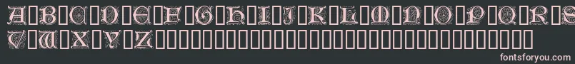GenzschInitials Font – Pink Fonts on Black Background
