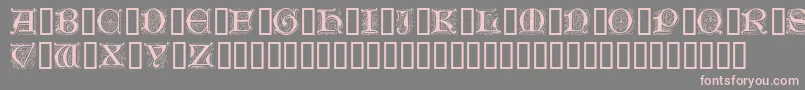Шрифт GenzschInitials – розовые шрифты на сером фоне