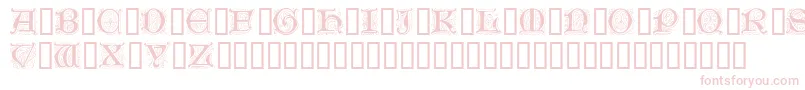 GenzschInitials Font – Pink Fonts