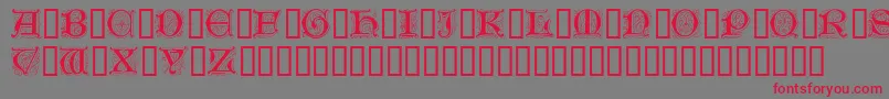 GenzschInitials Font – Red Fonts on Gray Background