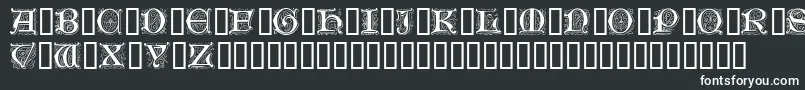 GenzschInitials Font – White Fonts