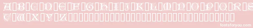 GenzschInitials Font – White Fonts on Pink Background
