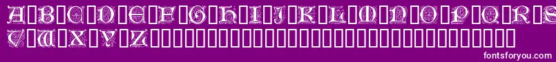 GenzschInitials Font – White Fonts on Purple Background