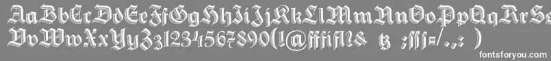 HermannGotisch Font – White Fonts on Gray Background