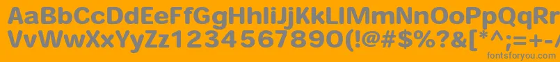 HeiseimarugostdW8 Font – Gray Fonts on Orange Background