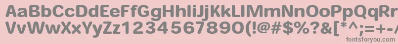 HeiseimarugostdW8 Font – Gray Fonts on Pink Background