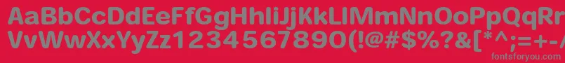 HeiseimarugostdW8 Font – Gray Fonts on Red Background