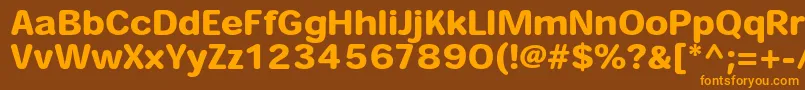 HeiseimarugostdW8 Font – Orange Fonts on Brown Background