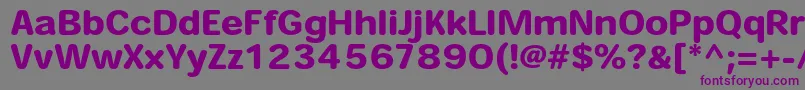 HeiseimarugostdW8 Font – Purple Fonts on Gray Background