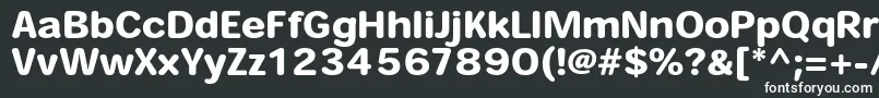 フォントHeiseimarugostdW8 – 黒い背景に白い文字