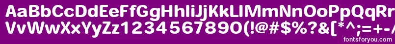 HeiseimarugostdW8 Font – White Fonts on Purple Background