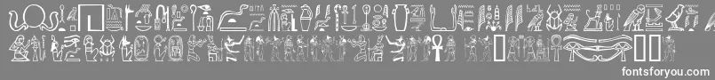 フォントGwglyptt – 灰色の背景に白い文字