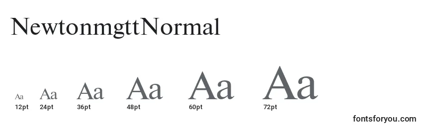 NewtonmgttNormal Font Sizes