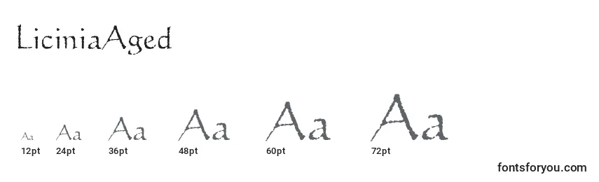 Размеры шрифта LiciniaAged