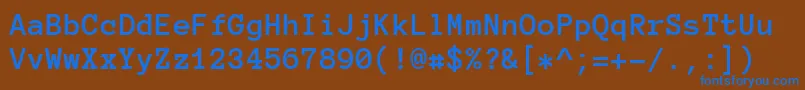 AnonymousProBold Font – Blue Fonts on Brown Background