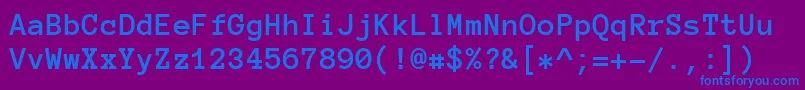 AnonymousProBold Font – Blue Fonts on Purple Background
