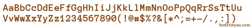 AnonymousProBold Font – Brown Fonts on White Background
