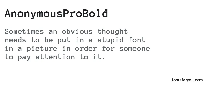 AnonymousProBold Font