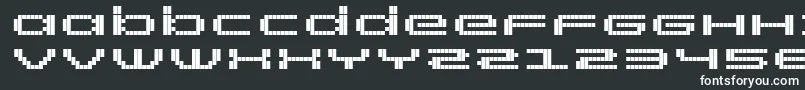 Шрифт RtScreenloft8Bold – белые шрифты на чёрном фоне