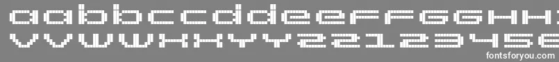 RtScreenloft8Bold Font – White Fonts on Gray Background