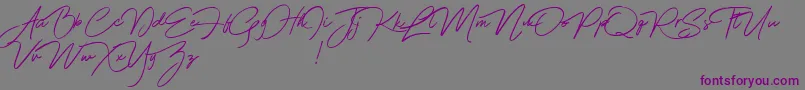 フォントFranciscodemo – 紫色のフォント、灰色の背景