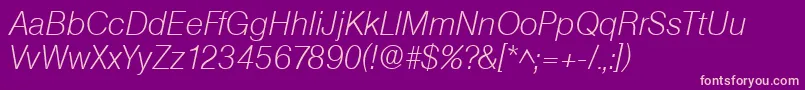 SanslhItalic Font – Pink Fonts on Purple Background