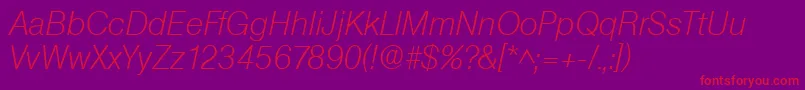 SanslhItalic Font – Red Fonts on Purple Background