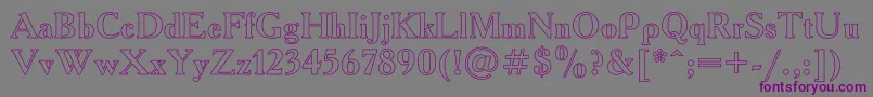 Шрифт AcademyHo – фиолетовые шрифты на сером фоне