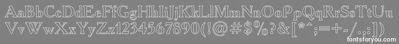 フォントAcademyHo – 灰色の背景に白い文字