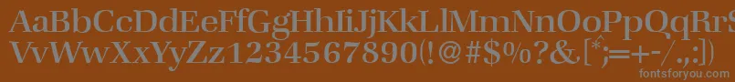 ZabriskiebookRegular Font – Gray Fonts on Brown Background